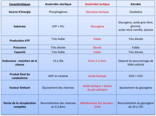 tableau filieres.jpg