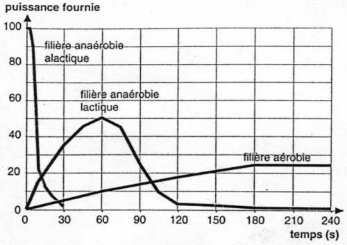 lesfilieres_650x460.jpg